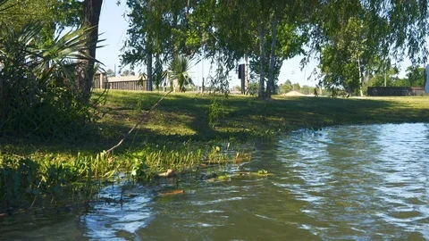 Pond Edge Close Up Stock Footage 89148207
