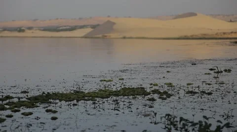 Pond At The Edge Of The Desert Stock Footage 50297299