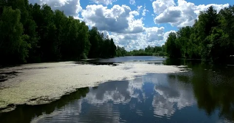 The pond in the estate of Pushkin Stock Footage 77730189