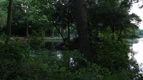 Pond in the evening - pan Stock Footage 76923248