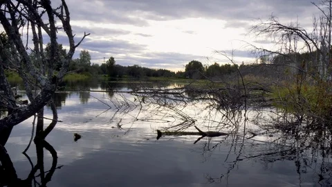 Pond in Fairbanks Vídeo Stock 120173432