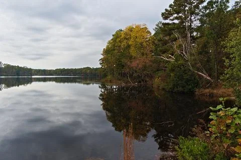 Pond with Fall Trees Reflecting Off of Smooth Water Stock Photos