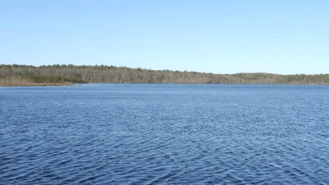 Pond with Fast Moving Current and Forest on Horizon Video stock 237412512