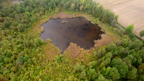 Pond on fields in autumnal landscape. Видео 348487958