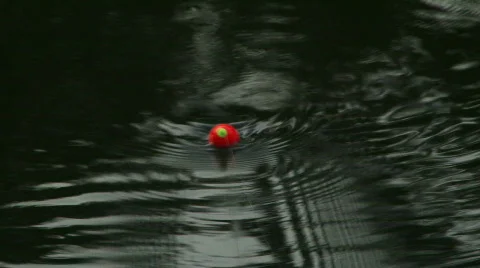 Fishing Bobber Stock Video Footage