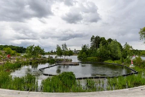 Pond with Floating Dock and Surrounding Vegetation at Center Parcs Villages.. Stock Photos