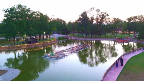 A pond with a flower. Stock Footage 284656481