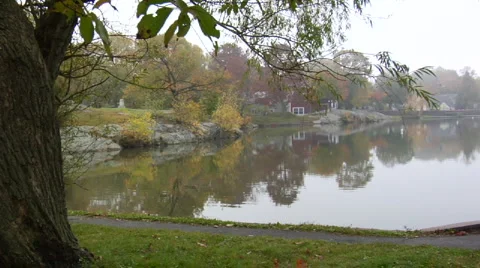 Pond In Fog Stock Footage 888601