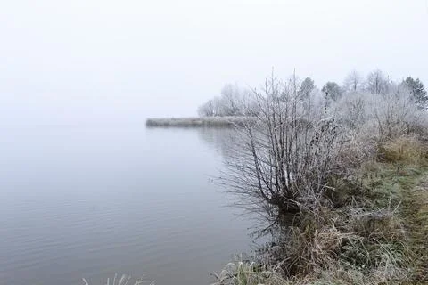 Pond in the fog Stock Photos