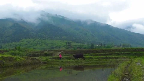 Pond at the foot of the mountain Stock Footage 235111417