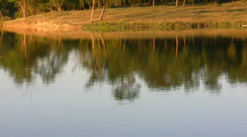 Pond  Stock Footage 482099