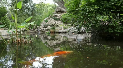 Pond Stock Footage 584139