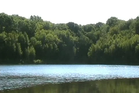 The Pond Video stock 9950951