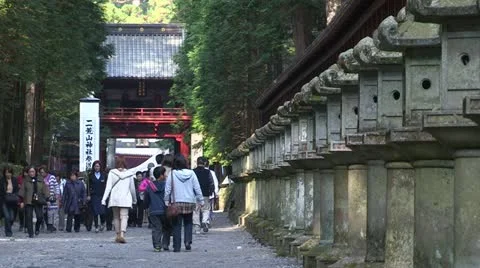 Pond Stock Footage 12436154