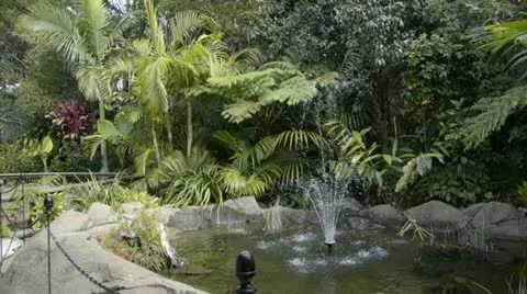 Pond Video stock 12577872