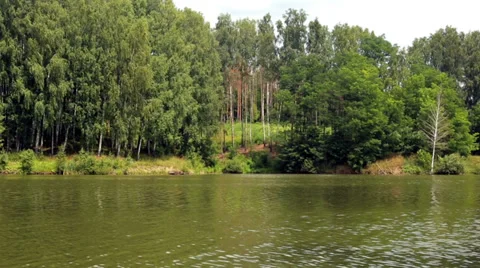 Pond Stock Footage 34366375