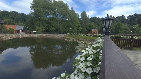 Pond Video stock 91102777