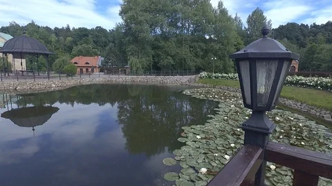 Pond Stock Footage 91102831