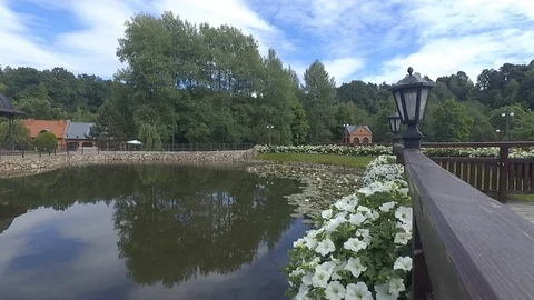 Pond Video stock 91102833