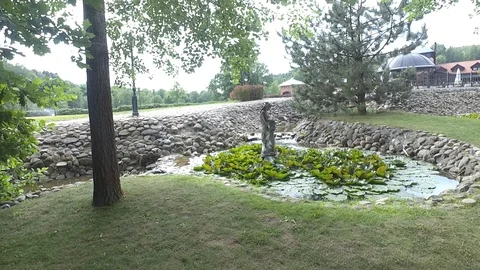 Pond Video stock 91102884