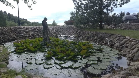 Pond Video stock 91102885