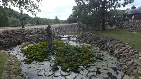 Pond Video stock 91102897