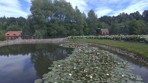 Pond Video stock 91149596