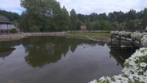 Pond Stock Footage 91151203