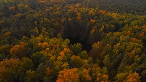 Pond Stock Footage 103531456