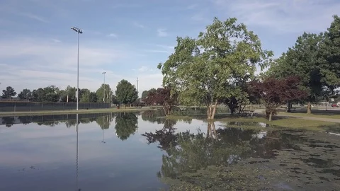 Pond Stock Footage 110718267