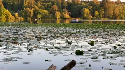 Pond Stock Footage 135616191