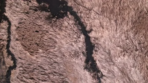 Pond Stock Footage 173670641