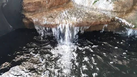 Pond Video stock 237154974