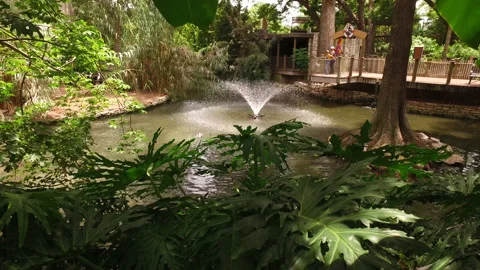 Into The Pond Stock Footage 239978334