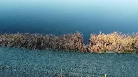 Pond Stock Footage 264065015