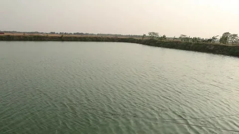 Pond Stock Footage 278588923