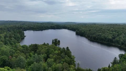 Pond Stock Footage 281305504