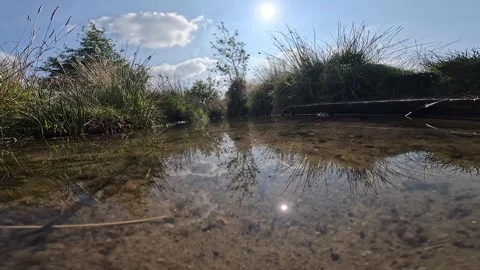 Pond Stock Footage 283133087