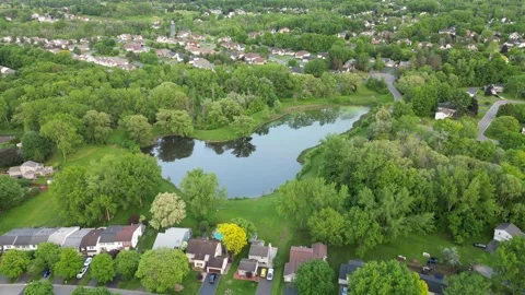 Pond Video stock 311417345