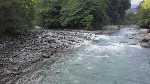 Pond in the forest of Abkhazia. Stock Footage 147681361