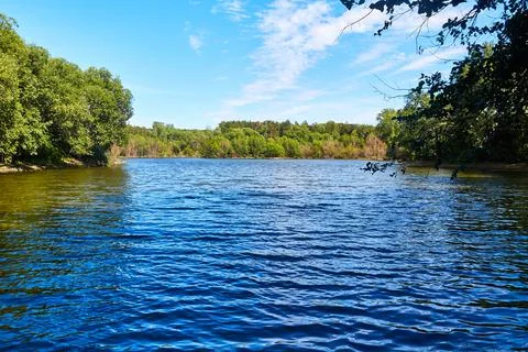 Pond in the forest with banks overgrown with trees Stock Photos