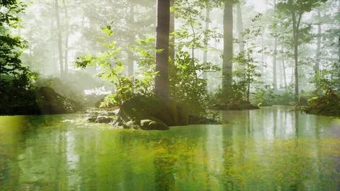 Pond in a forest with fog Stock Illustration