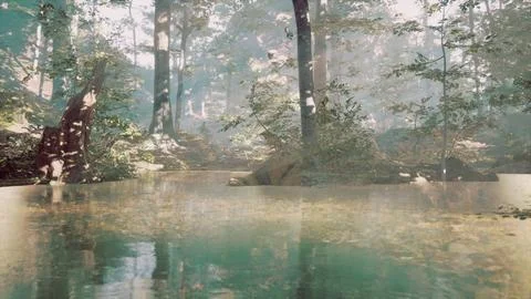 Pond in a forest with fog 스톡 일러스트