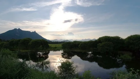 A pond in a forest, India 動画素材 118441074