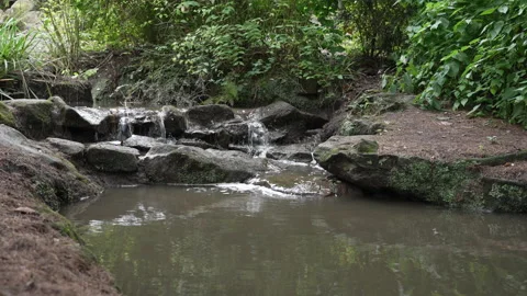 Pond forest nature backgrounds rain waterfall free meditation slomo 스톡 동영상 214823192