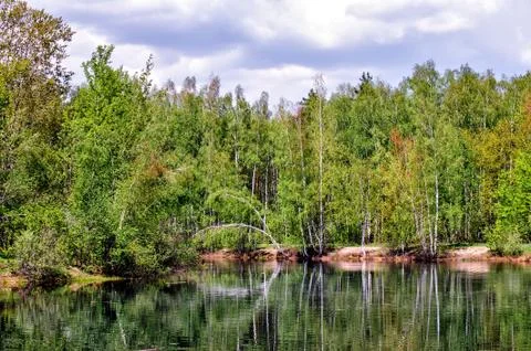 Pond in forest Stock Photos