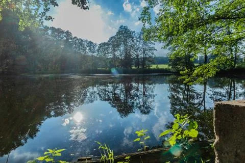  Pond in the forest Stock Photos
