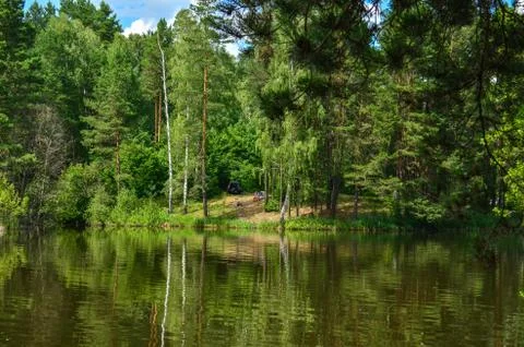 Pond in the forest Stock Photos