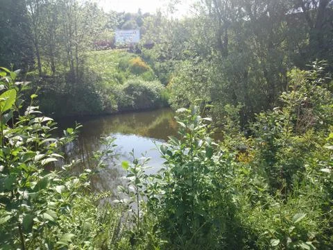 A pond in the forest Stock Photos