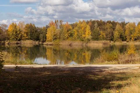 A pond in the forest. Foto stock